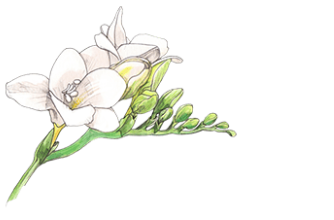 BY SCENT