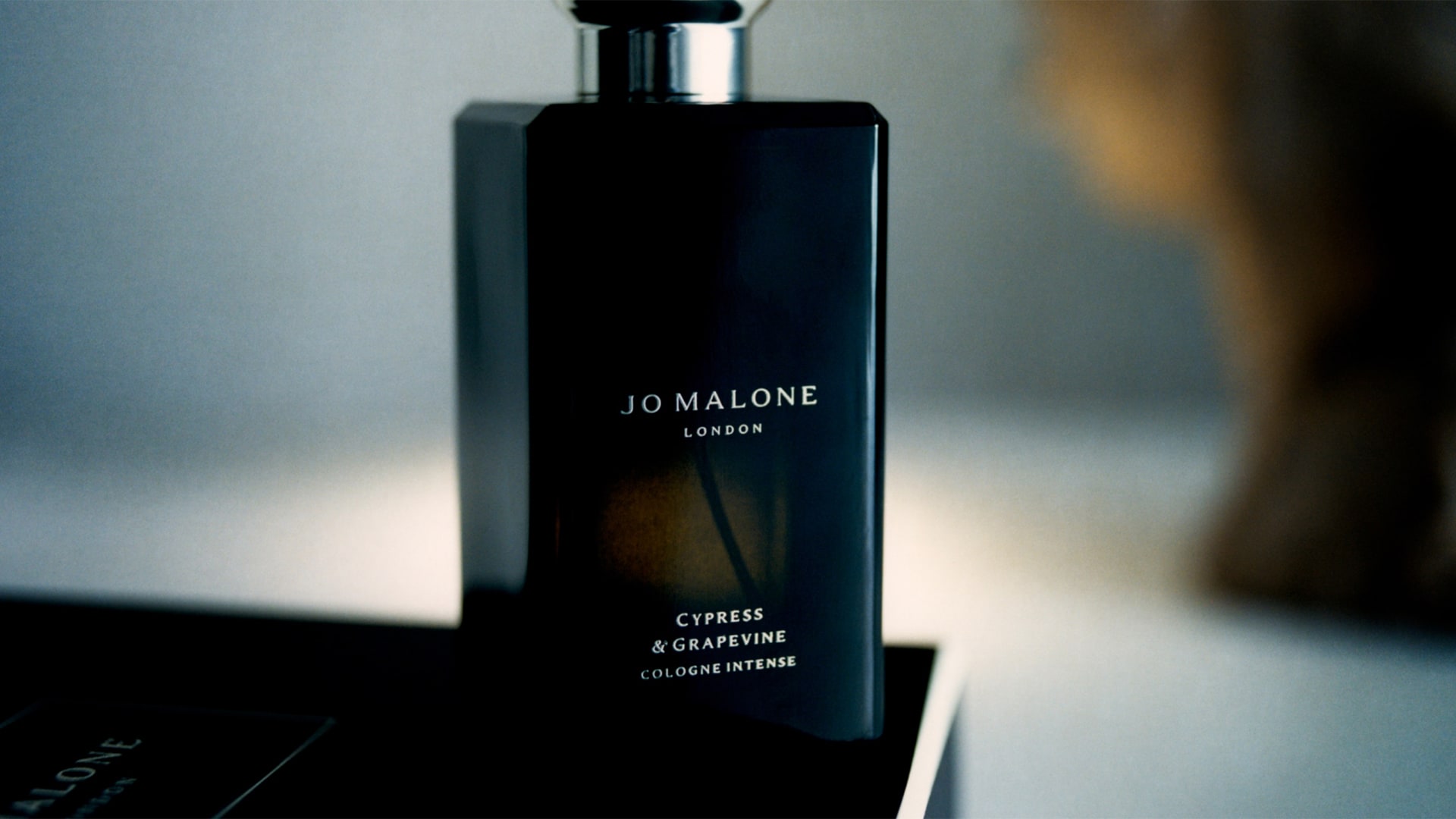 Ignite The Senses