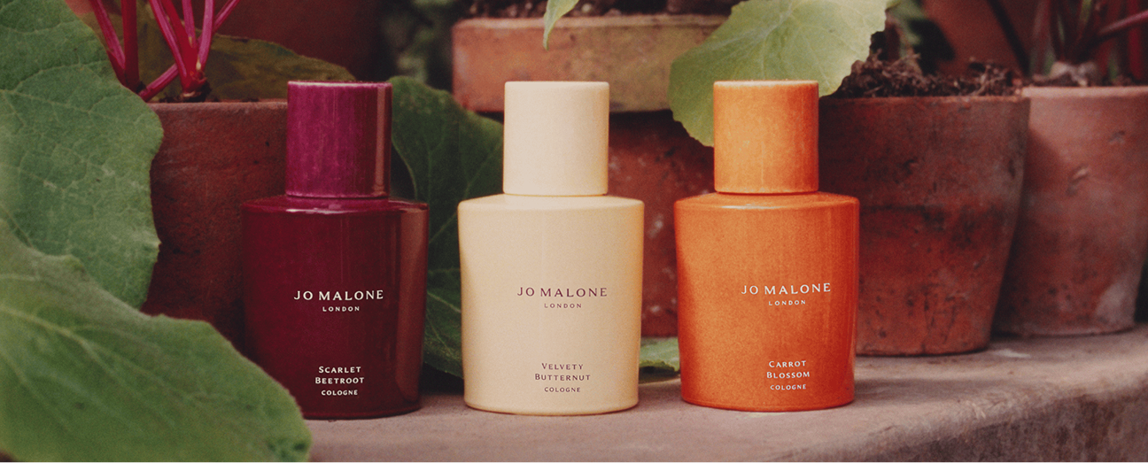 Ignite The Senses